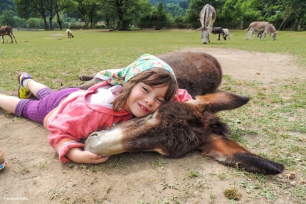 Eselpark Maltatal – Urlaub am Millstätter See – Pension Elisabeth – Frühstückspension in Kärnten am See