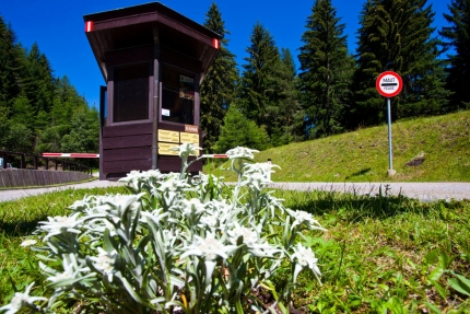 Sportberg Goldeck – Wandern am Millstätter See – Wanderurlaub in Kärnten – Frühstückspension am See – Pension Elisabeth